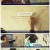 인간극장.E5455.221116.1080p.H264-F1RST