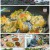 2TV 생생정보.E1680.221117.720p.H264-F1RST