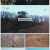 영상앨범 산.E860.221127.1080p.H264-F1RST