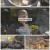 한국인의 밥상.E587.221201.720p.H264-F1RST
