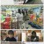 인간극장.E5469.221206.1080p.H264-F1RST