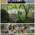 이웃집 찰스.E365.221206.720p.H264-F1RST