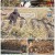 나는 자연인이다.E531.221207.720p.H264-F1RST