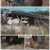 자연의 철학자들.E37.221209.720p.H264-F1RST