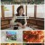 2TV 생생정보.E1695.221209.720p.H264-F1RST