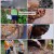 인도네시아 뱀 사냥꾼.E733.221210.720p-NEXT