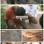 세상에서 가장 아름다운 여행.E1058.221211.720p.H264-F1RST