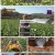 생활의 달인.E868.221212.720p.H264-F1RST