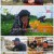 2TV 생생정보.E1700.221216.720p.H264-F1RST