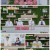 건강면세점.E129.221218.720p.H264-F1RST