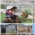 시사멘터리 추적.E29.221218.1080p.H264-F1RST