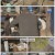 동물극장 단짝.E44.221224.720p.H264-F1RST