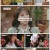 세상에서 가장 아름다운 여행.E1060.221225.720p.H264-F1RST