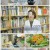 알약방.E132.230105.720p.H264-F1RST