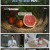 일요 특선 다큐멘터리.E301.230108.1080p.H264-F1RST