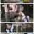 세상에서 가장 아름다운 여행.E1063.230115.720p.H264-F1RST
