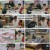 식객 허영만의 백반기행.E185.230120.720p.H264-F1RST