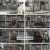궁금한 이야기 Y.E621.230120.1080p.H264-F1RST