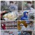 극한직업.E1049.230121.720p-BB