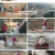 동물극장 단짝.E49.230204.720p.H264-F1RST