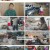 동물극장 단짝.E50.230211.720p.H264-F1RST