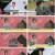 한번더체크타임.E128.230227.720p.H264-F1RST