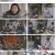 한국인의 밥상.E599.230309.720p.H264-F1RST