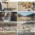 동물극장 단짝.E58.230422.720p.H264-F1RST