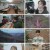 순정시대.E25.230424.720p.H264-F1RST