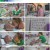 순간포착 세상에 이런일이.E1227.230425.1080p.H264-F1RST