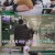 이웃집 찰스.E384.230425.720p-NEXT