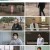생로병사의 비밀.E866.230426.720p.H264-F1RST