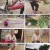 6시 내고향.E7776.230427.720p.H264-F1RST