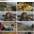 한국인의 밥상.E605.230427.720p.H264-F1RST