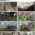 자연의 철학자들.E54.230428.720p.H264-F1RST