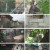 궁금한 이야기 Y.E634.230428.1080p.H264-F1RST
