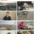 동물극장 단짝.E59.230429.720p.H264-F1RST