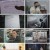 그것이 알고 싶다.E1350.230429.1080p.H264-F1RST