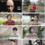 슈퍼푸드의 힘.E71.230430.1080p.H264-F1RST