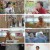 엄마의 봄날.E398.230430.1080p.H264-F1RST