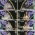 우리말 겨루기.E956.230501.720p.H264-F1RST