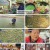 6시 내고향.E7779.230502.720p.H264-F1RST