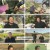 인간극장.E5577.230505.1080p.H264-F1RST