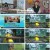 국악한마당.E1454.230506.1080p.H264-F1RST