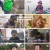 6시 내고향.E7783.230508.720p.H264-F1RST