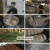 생활의 달인.E887.230508.1080p.H264-F1RST