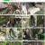 나는 자연인이다.E553.230510.1080p.H264-F1RST
