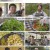 한국인의 밥상.E607.230511.720p.H264-F1RST