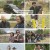 인간극장.E5582.230512.1080p.H264-F1RST