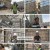 생활의 달인.E888.230515.1080p.H264-F1RST